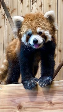 伊豆シャボテン動物公園に投稿された画像（2022/8/11）