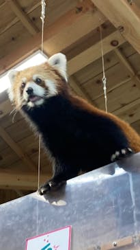 伊豆シャボテン動物公園に投稿された画像（2022/8/11）