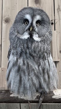 伊豆シャボテン動物公園に投稿された画像（2022/8/11）