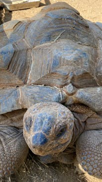 伊豆シャボテン動物公園に投稿された画像（2022/8/11）