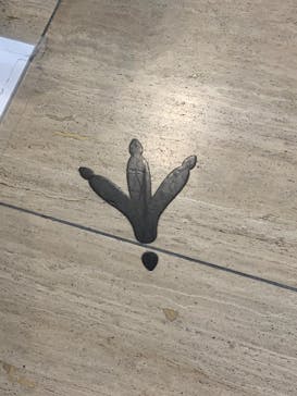 国立科学博物館に投稿された画像（2022/8/11）