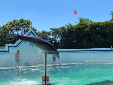 しながわ水族館に投稿された画像（2022/8/11）
