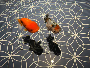 すみだ水族館に投稿された画像（2022/8/11）