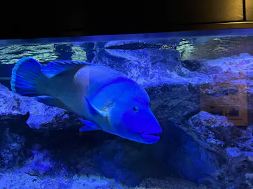 すみだ水族館に投稿された画像（2022/8/11）