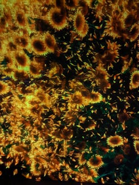 森ビル デジタルアート ミュージアム：エプソン チームラボボーダレスに投稿された画像（2022/8/11）