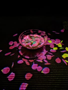 森ビル デジタルアート ミュージアム：エプソン チームラボボーダレスに投稿された画像（2022/8/11）