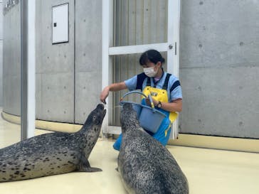 島根県立 しまね海洋館に投稿された画像（2022/8/11）