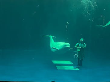 島根県立 しまね海洋館に投稿された画像（2022/8/11）