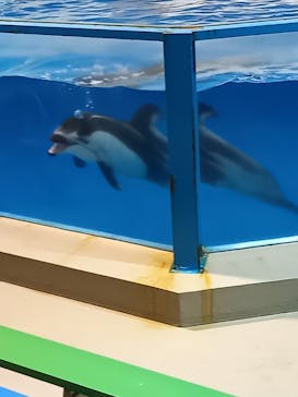 登別マリンパークニクスに投稿された画像（2022/8/11）