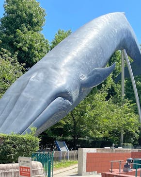 国立科学博物館に投稿された画像（2022/8/11）