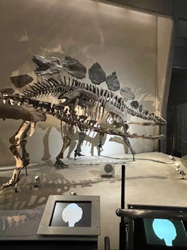 国立科学博物館に投稿された画像（2022/8/11）