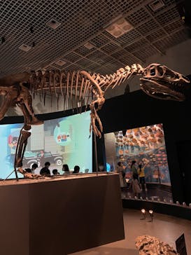国立科学博物館に投稿された画像（2022/8/11）