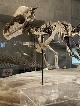 国立科学博物館に投稿された画像（2022/8/11）