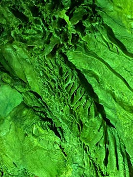 あぶくま洞に投稿された画像（2022/8/11）