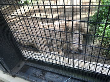 沖縄こどもの国に投稿された画像（2022/8/11）