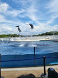 京都水族館に投稿された画像（2022/8/11）