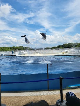 京都水族館に投稿された画像（2022/8/11）