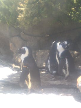 サンシャイン水族館に投稿された画像（2022/8/11）