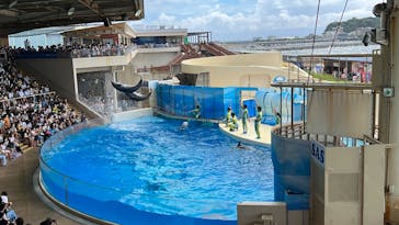 新江ノ島水族館に投稿された画像（2022/8/11）