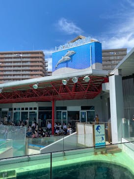しながわ水族館に投稿された画像（2022/8/11）