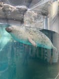 京都鉄道博物館×京都水族館に投稿された画像（2022/8/11）