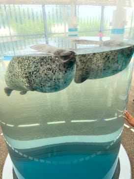 京都鉄道博物館×京都水族館に投稿された画像（2022/8/11）