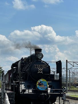 京都鉄道博物館×京都水族館に投稿された画像（2022/8/11）