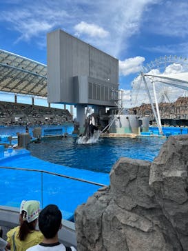 名古屋港水族館に投稿された画像（2022/8/11）