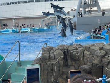 名古屋港水族館に投稿された画像（2022/8/11）