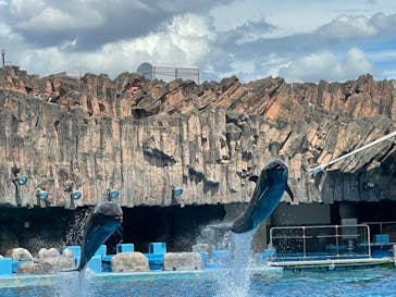 名古屋港水族館に投稿された画像（2022/8/11）