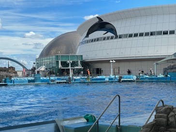 名古屋港水族館に投稿された画像（2022/8/11）