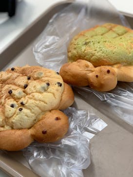 株式会社Gに投稿された画像（2022/8/11）