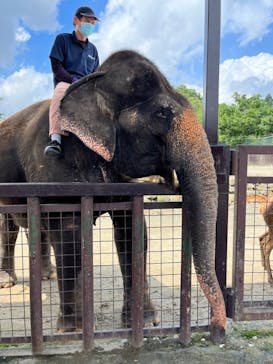 那須サファリパークに投稿された画像（2022/8/11）