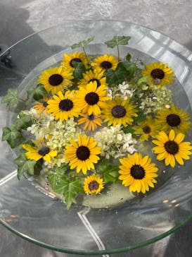 いばらきフラワーパークに投稿された画像（2022/8/11）