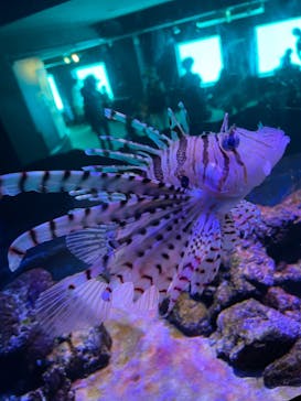 南知多ビーチランド＆南知多おもちゃ王国に投稿された画像（2022/8/11）