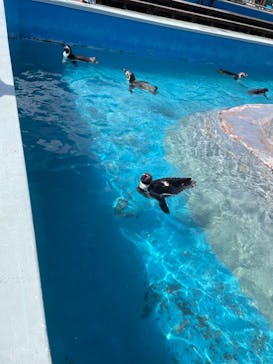 南知多ビーチランド＆南知多おもちゃ王国に投稿された画像（2022/8/11）