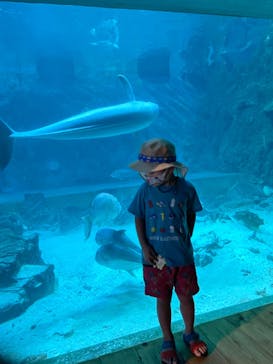 南知多ビーチランド＆南知多おもちゃ王国に投稿された画像（2022/8/11）