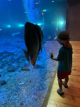 南知多ビーチランド＆南知多おもちゃ王国に投稿された画像（2022/8/11）