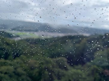 伊豆パノラマパークに投稿された画像（2022/8/11）