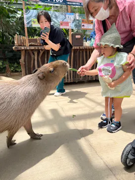 神戸どうぶつ王国に投稿された画像（2022/8/11）