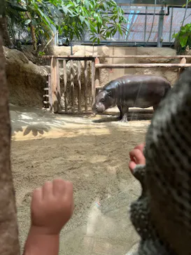 神戸どうぶつ王国に投稿された画像（2022/8/11）