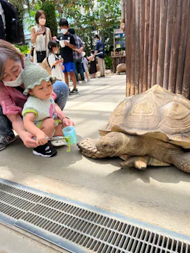 神戸どうぶつ王国に投稿された画像（2022/8/11）