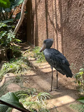 神戸どうぶつ王国に投稿された画像（2022/8/11）