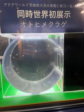 アクアワールド茨城県大洗水族館に投稿された画像（2022/8/11）