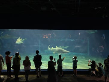 アクアワールド茨城県大洗水族館に投稿された画像（2022/8/11）