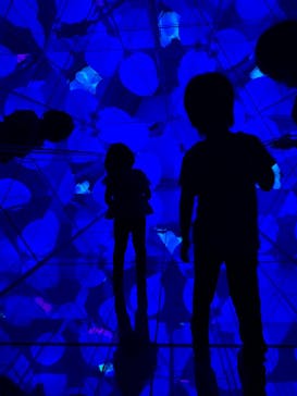 チームラボフォレスト 福岡 - SBI証券に投稿された画像（2022/8/11）