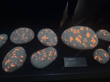 特別展「宝石　地球がうみだすキセキ」（名古屋市科学館　理工館地下２階イベントホール）に投稿された画像（2022/8/11）