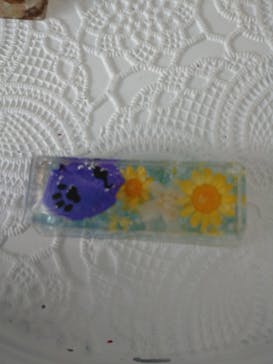 ずこうしつ〜sugamo〜に投稿された画像（2022/8/11）