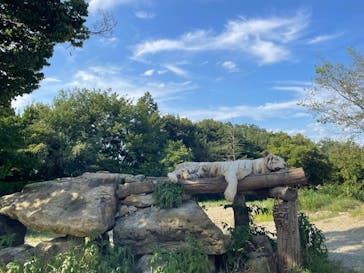 群馬サファリパークに投稿された画像（2022/8/11）