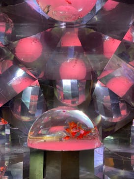 登別マリンパークニクスに投稿された画像（2022/8/11）